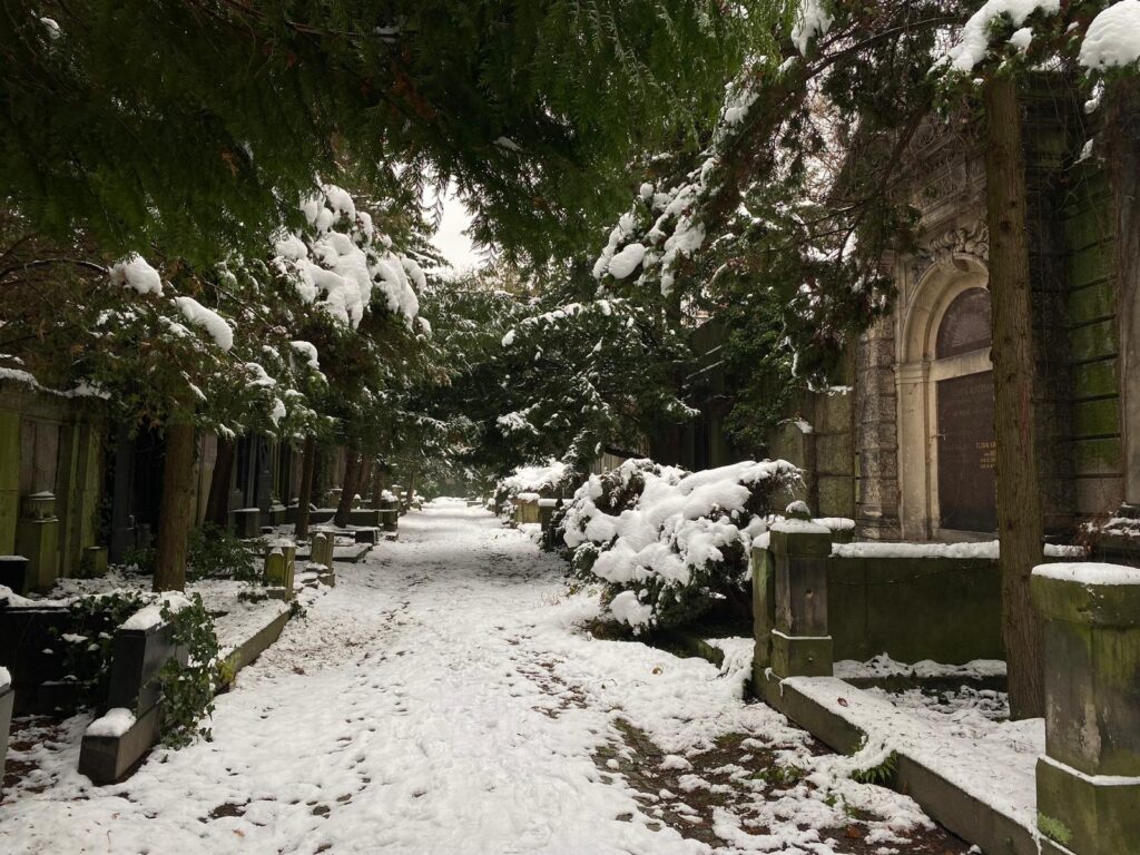 Zasnežený starý židovský cintorín